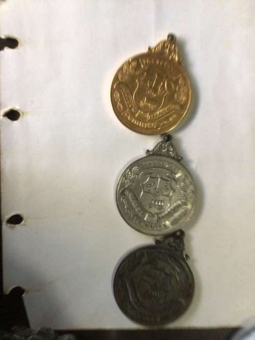 `COLLECTABLE`  OLD TRANSVAAL SWIMMING MEDALS, GOLD,SILVER AND BRONZE. BID PER MEDAL.