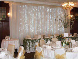 LED Fairy light Curtain - 2m x 1m*