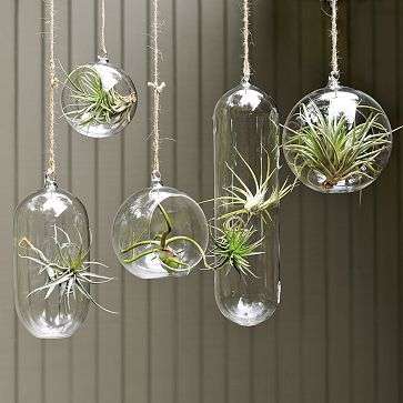 Wedding Decorations - Hanging glass ball 7.5cm - with hole for flowers etc