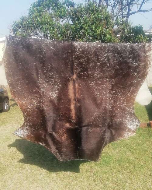 An nguni skin perfect for the floor