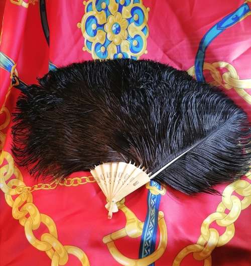 A stunning art Deco Era ostrich and ivory feather fan