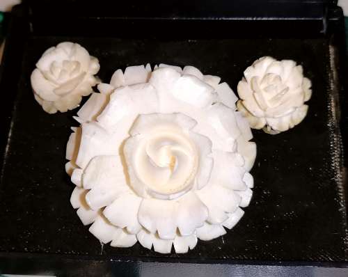 A stunning carved earring and brooch set