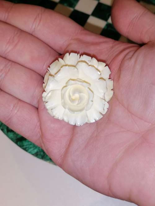 A stunning carved earring and brooch set