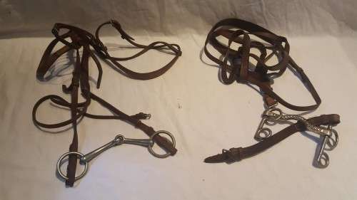 WOW!!! Boer War Bridles