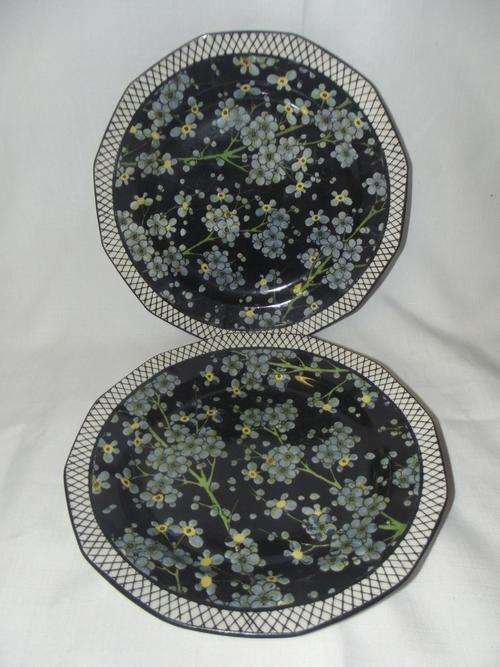 INCREDIBLE!! Pair of Royal Doulton Plates