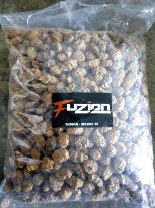 fuzion xxl tigers