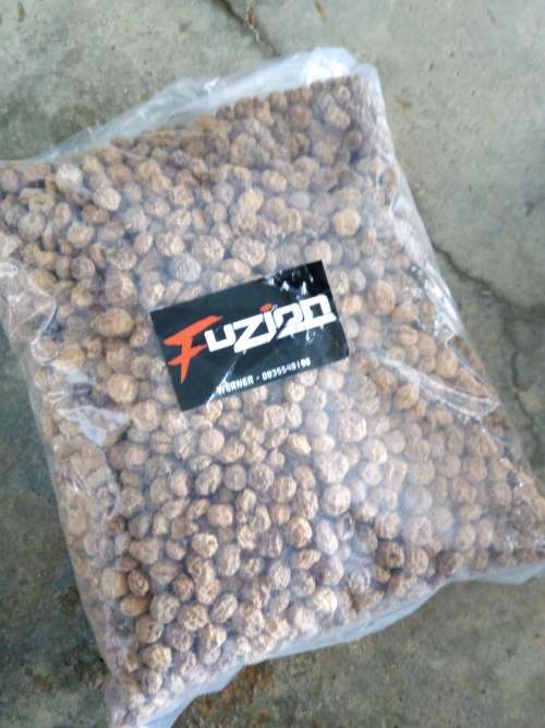 fuzion standard tigers