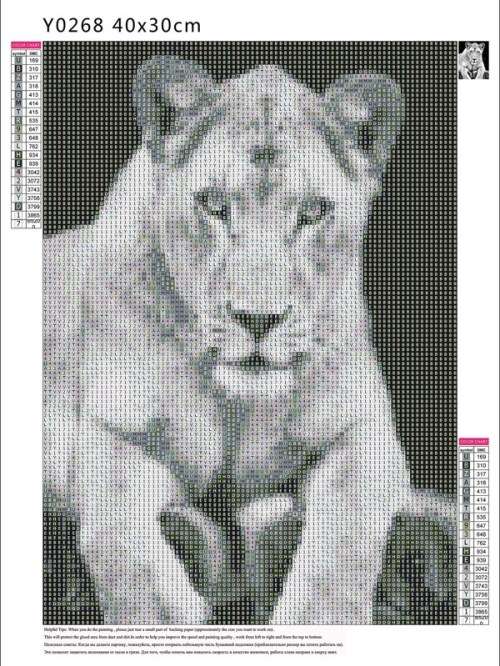 Lion Print Diamond Dotting DIY Kit