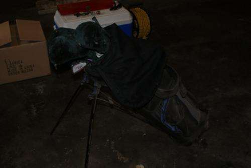 Ladys Golf Clubs