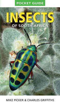 Pocket Guide Insects of South Africa ~ Mike Picker &Charles Griffiths