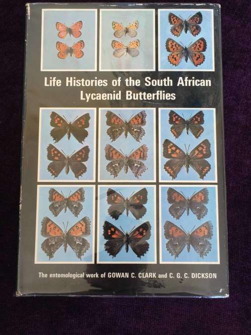 Life Histories of the South African Lycaenid Butterflies - Clark and Dickson