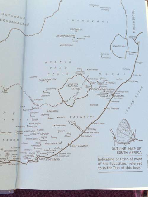 Life Histories of the South African Lycaenid Butterflies - Clark and Dickson