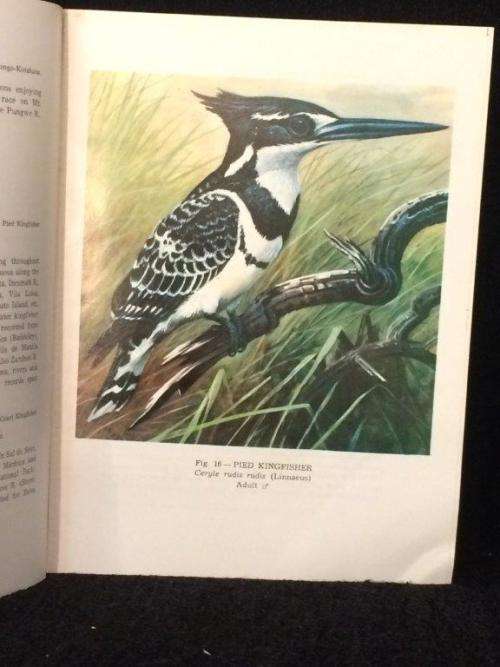 A Handlist of the Birds of Southern Mocambique by PA Clancey - 39 Colour Plates and Maps | Scarce
