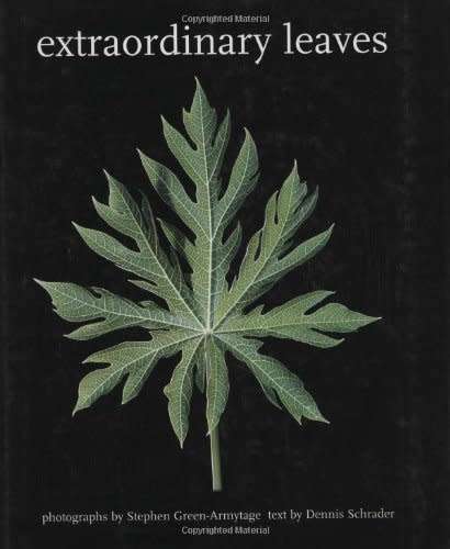 Extraordinary Leaves by Dennis Schrader, with photographs by Stephen Green-Armytage