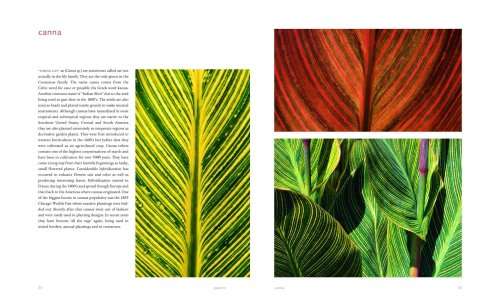 Extraordinary Leaves by Dennis Schrader, with photographs by Stephen Green-Armytage