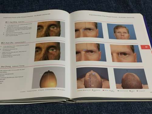 Pictorial Atlas of Acupuncture: An Illustrated Manual of Acupuncture Points