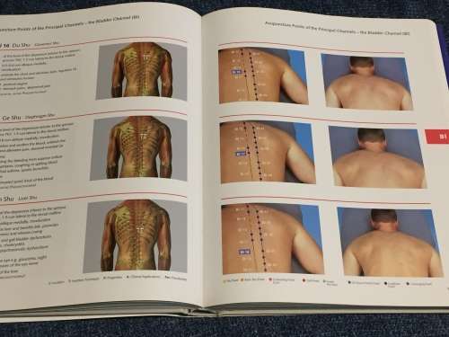 Pictorial Atlas of Acupuncture: An Illustrated Manual of Acupuncture Points