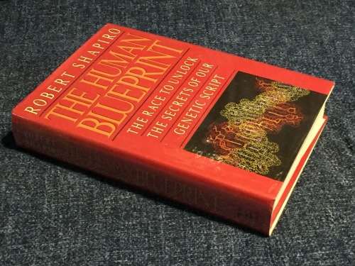 The Human Blueprint by Robert Shapiro