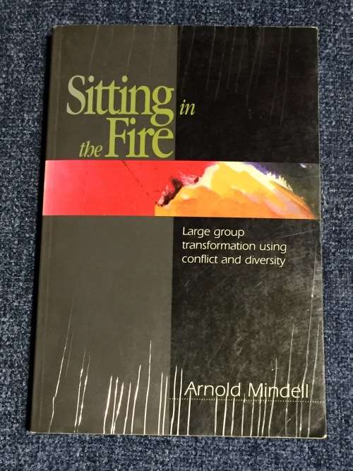 Sitting in the Fire - Arnold Mindell | Large Group Transformation using conflict and diversity