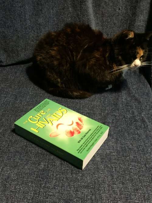 The Cure for HIV and AIDS by Hulda Regehr Clark | With 68 Case Histories
