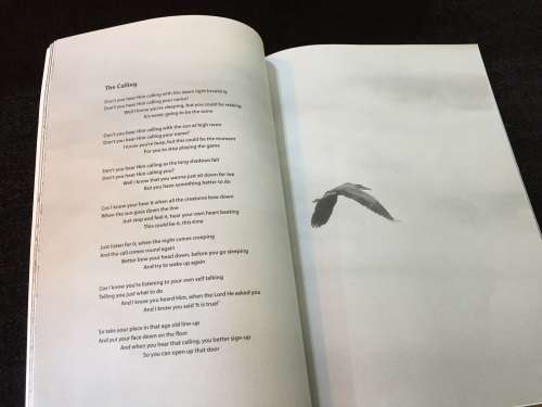 Songs In Search of a Musician  by Abdalhamid David Evans