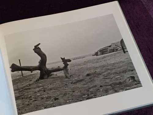 Terreno Ocupado by Jo Ractliffe | Signed and inscribed