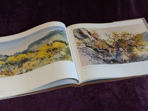 Frederike Stokhuyzen Born to be an Artist by Marielle Renssen - Signed by Frederike