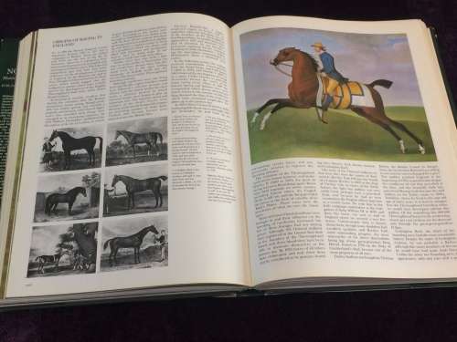 The Noble Horse by Monique Dossenbach and Hans D. Dossenbach