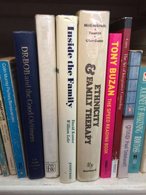 Ethnicity And Family Therapy edited by Monica McGoldrick, John K. Pearceand Joseph Giordano First Ed