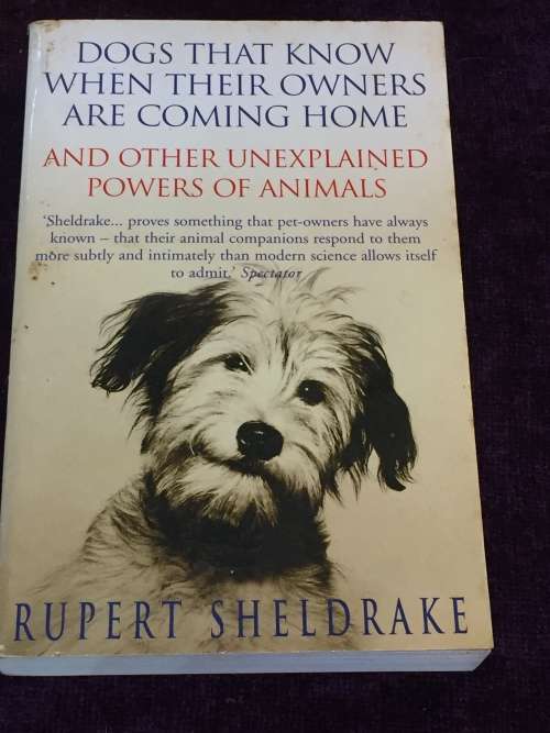 Dogs that Know when their Owners are comng Home by Ruper Sheldrake