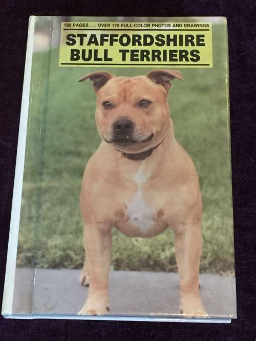 Staffordshire Bull Terriers