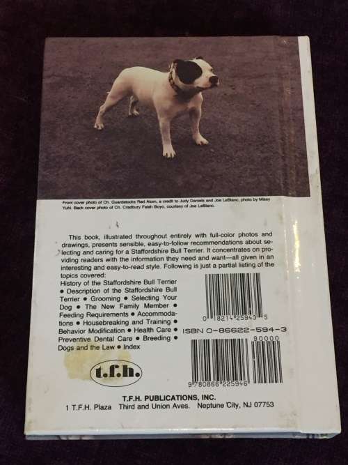 Staffordshire Bull Terriers