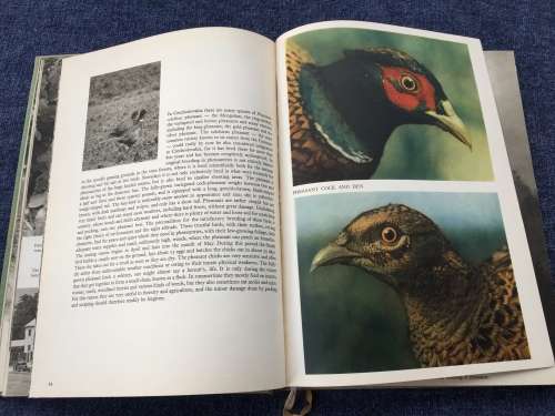 Hunting With Camera and Gun Karel Hajek | Wonderful photos of hunting Czechoslovakia in 1930s