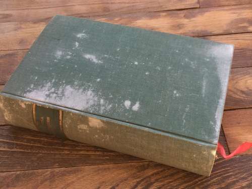 Palmerston by Philip Guedalla 1926 | Biography Sir Henry John Temple, 3rd Viscount Palmerston