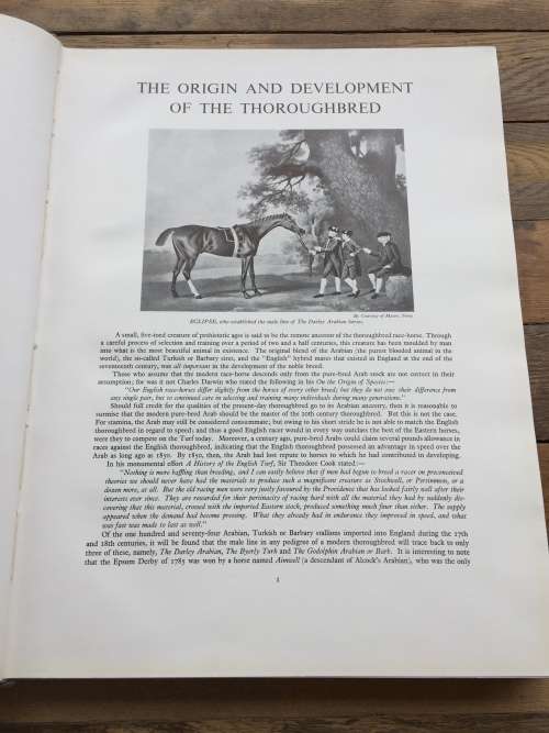 Racing and Breeding by Edmund Nelson ~ Stud farms of South Africa Vol. I