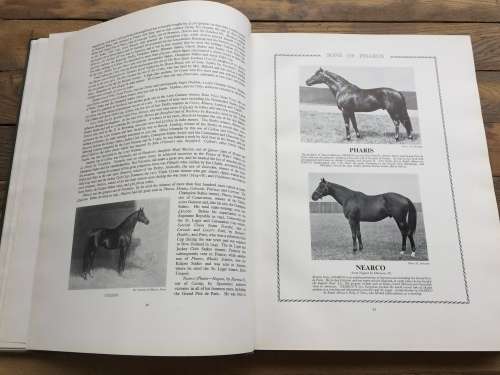 Racing and Breeding by Edmund Nelson ~ Stud farms of South Africa Vol. I