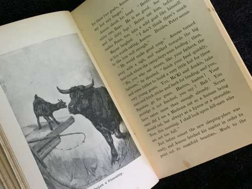 Biffel - The Story of a Trek Ox by Stanley Portal Hyatt