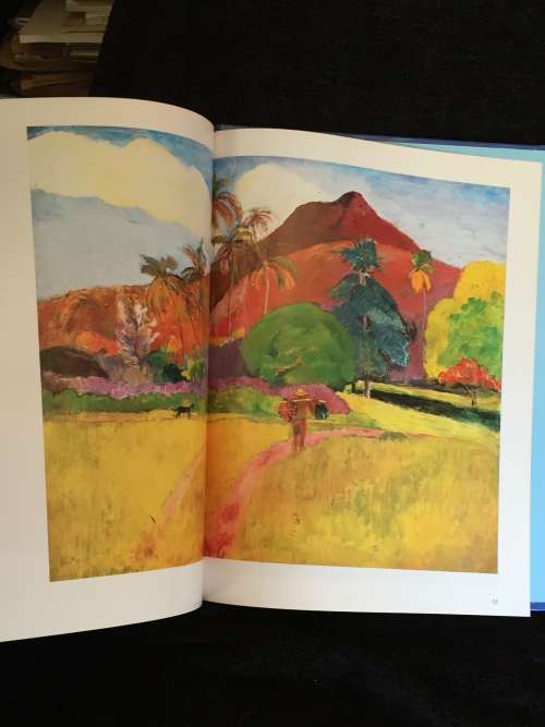 Gauguin  by Eleanor Marrack (Magna Art Introductions)