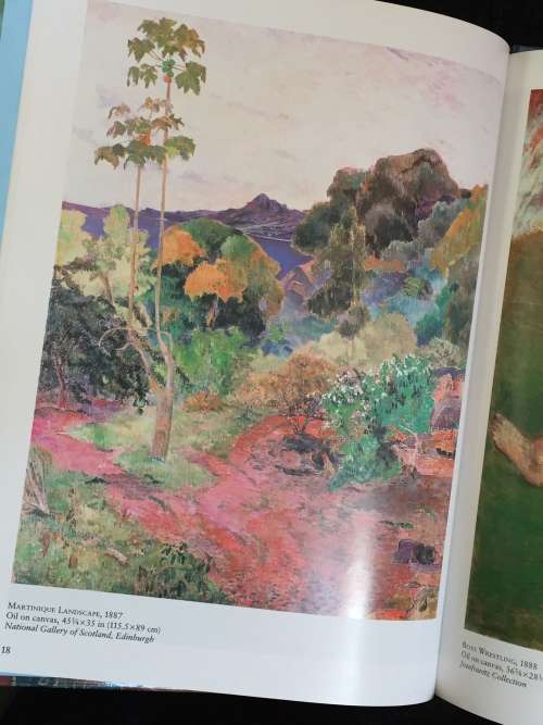 Gauguin  by Eleanor Marrack (Magna Art Introductions)