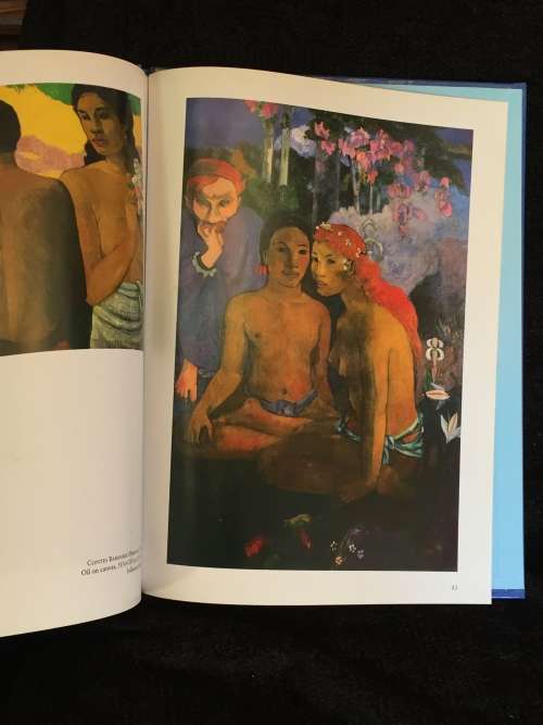 Gauguin  by Eleanor Marrack (Magna Art Introductions)