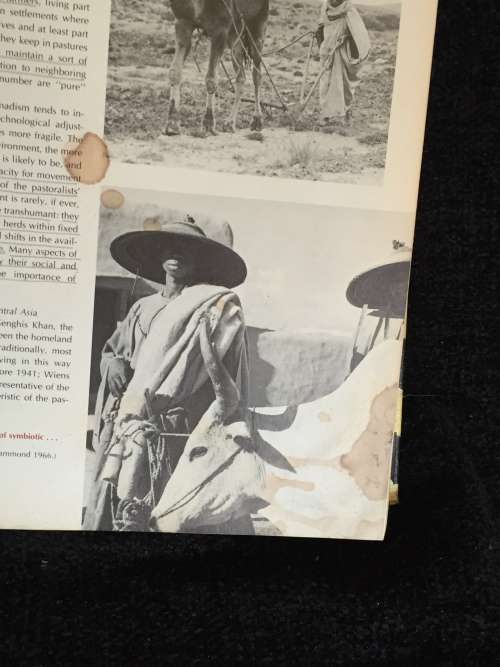 An Introduction to Cultural and Social Anthropology by Peter B. Hammond