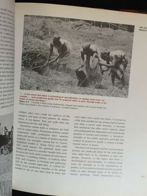 An Introduction to Cultural and Social Anthropology by Peter B. Hammond