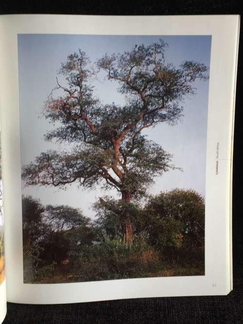 African Trees: A Photographic Exploration by Charles Bryant and Brita Lomba