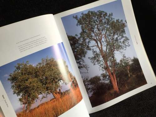 African Trees: A Photographic Exploration by Charles Bryant and Brita Lomba
