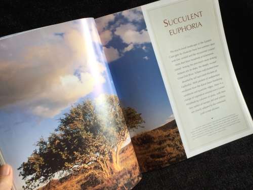 African Trees: A Photographic Exploration by Charles Bryant and Brita Lomba