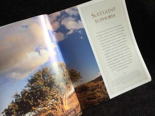 African Trees: A Photographic Exploration by Charles Bryant and Brita Lomba
