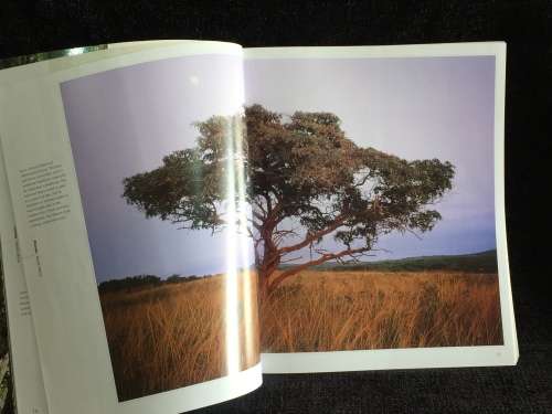 African Trees: A Photographic Exploration by Charles Bryant and Brita Lomba