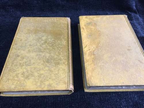 Africana or, the Heart of Heathen Africa by Rev. Duff Macdonald  Vol I and 2 | 1882