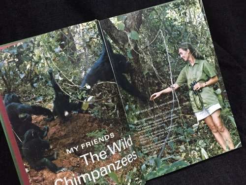 My Friends The Wild Chimpanzees by Jane Goodall | Baroness Jane Van Lawick-Goodall
