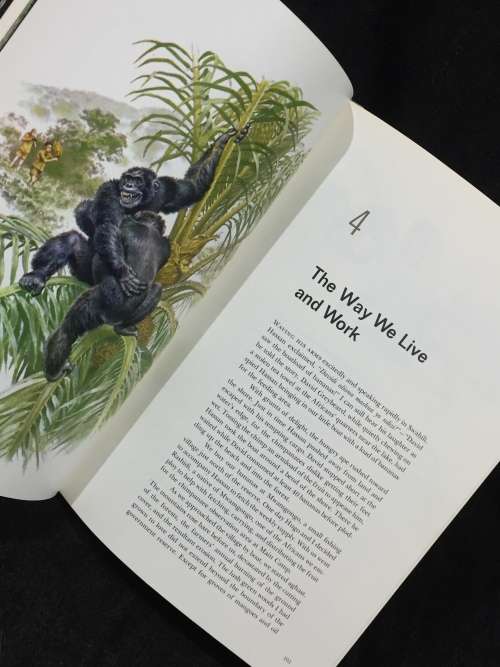 My Friends The Wild Chimpanzees by Jane Goodall | Baroness Jane Van Lawick-Goodall